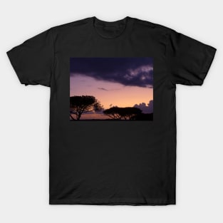 Maritime Pines with purple Sunset T-Shirt